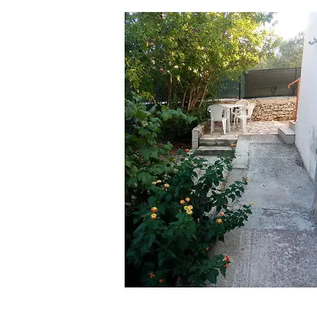 Considerable Investment On Comfort New Request Three Transport Every Day With Our Car For Free 3*