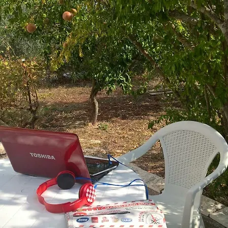 Considerable Investment On Comfort New Request Three Transport Every Day With Our Car For Free 3*