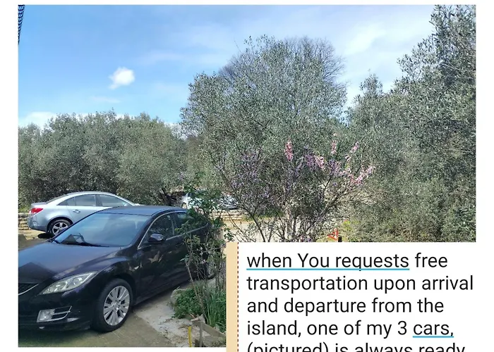 New Considerable Investment On Comfort New Request Three Transport Every Day With Our Car For Free Korčula