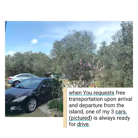 New Considerable Investment On Comfort New Request Three Transport Every Day With Our Car For Free Korčula